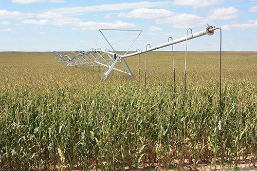 Property photo 101 - LAND AUCTION, 3255+/- Acres offered in 13 Tracts
